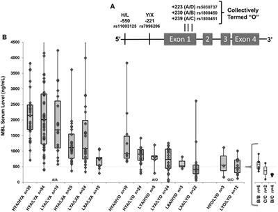 Evaluation of Mannose Binding Lectin Gene Variants in Pediatric Influenza Virus-Related Critical Illness